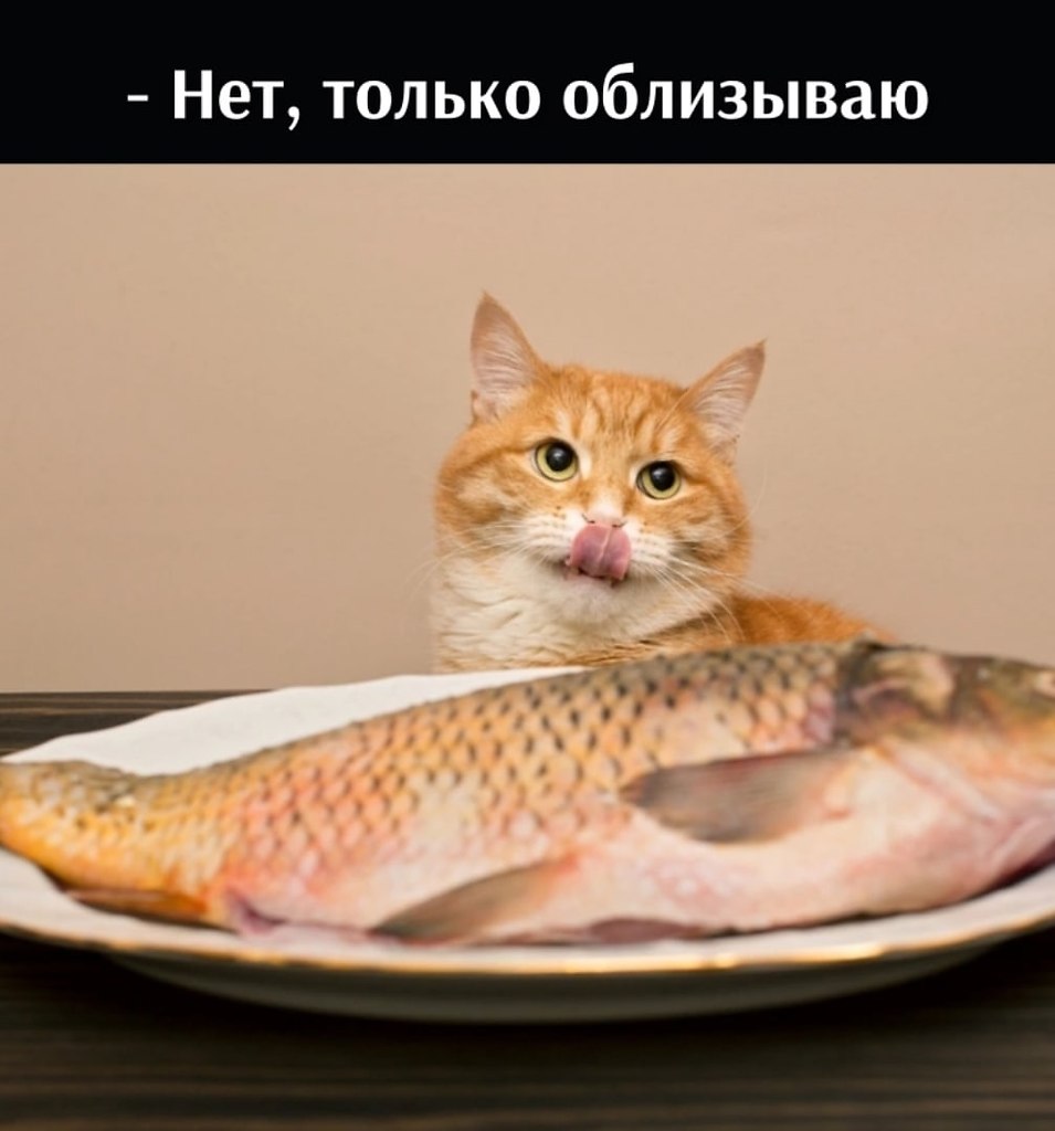       - 9  2025  12:30 - 2