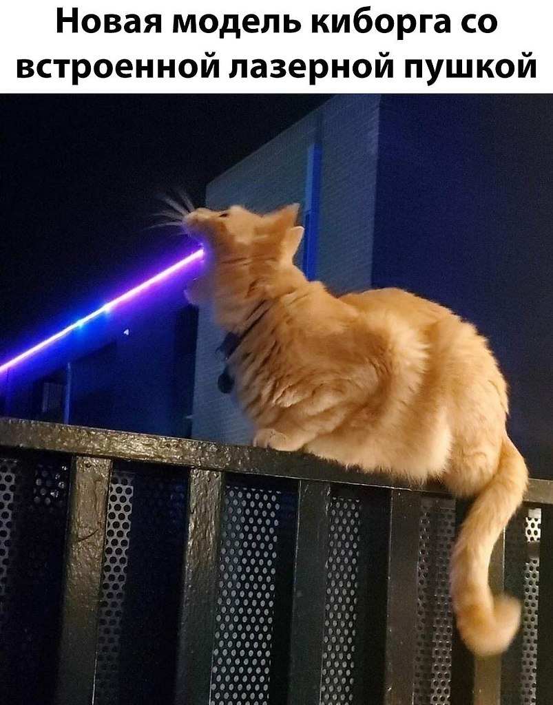    - 8  2025  04:37
