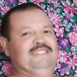 ����, ������-��-����, 44 ����