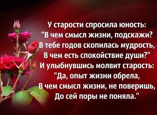   ,    . - 8  2025  19:28 - 2
