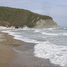 Vasy, �������, 79 ���
