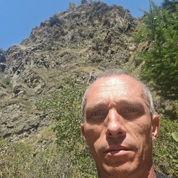 ����, 39 ���, ����������