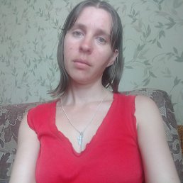 , 29, 