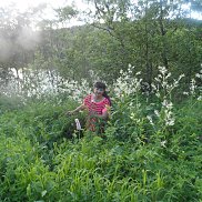 ������, 63 ����, ���������