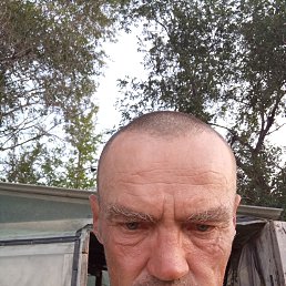 , 41, 