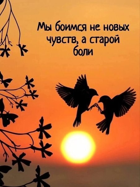     ,   . ,  ,   ,   .   ...