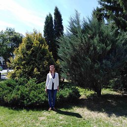 ����, ������, 57 ���