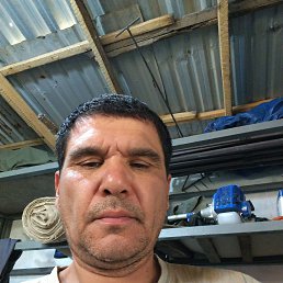 , 45, 