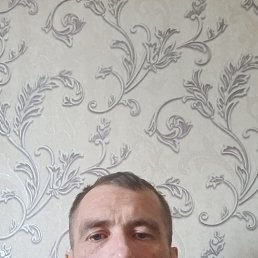 , 39, 