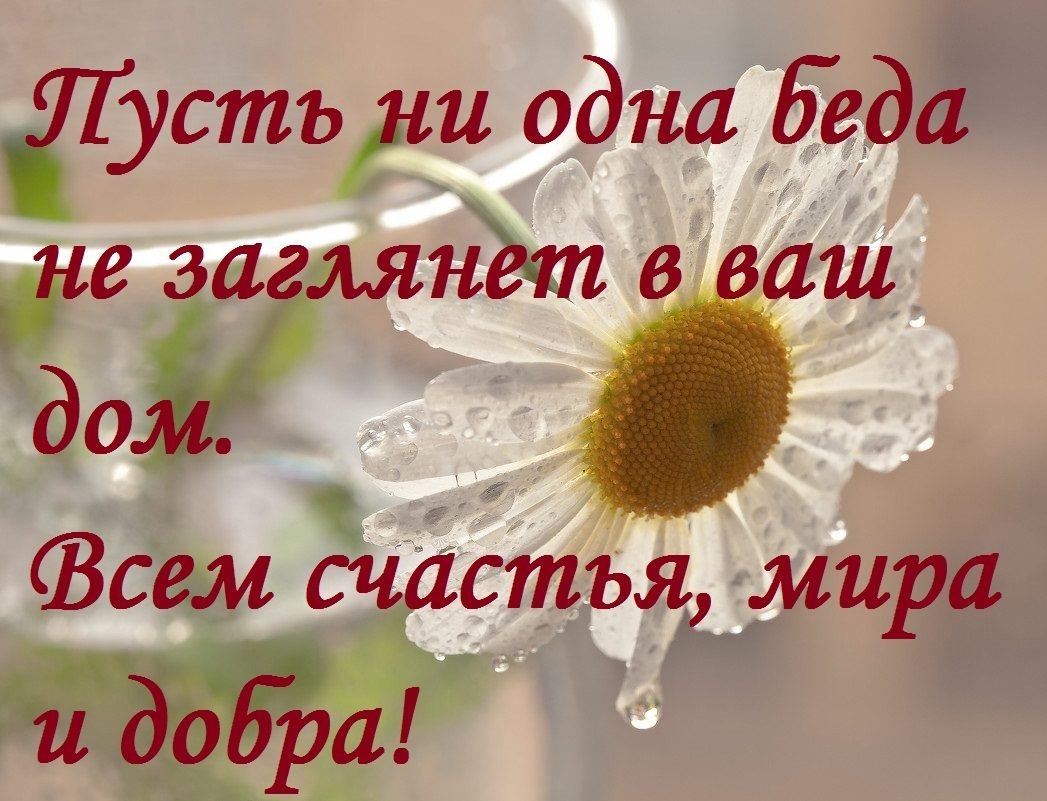   - 9  2025  07:49
