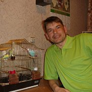 , 54 , 