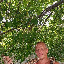 ���� ����, ���������, 52 ���� - ��������� 31 ����� 2026