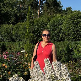 ���� ����, ������ - ��������� 20 ������ 2025