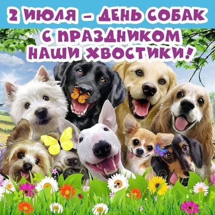 Zv   !!! V - 2  2025  13:31