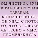  Nastroenie,  -  8  2024    