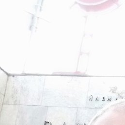 �����, ���������, 33 ����