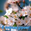 ���� �����, ���������, 49 ��� - ��������� 12 ��� 2025 � ������ ������ ��������