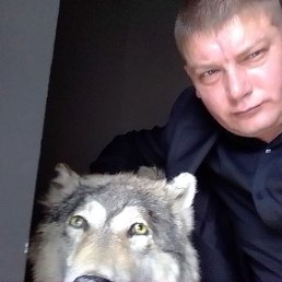 ����, �����, 45 ���