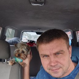 ����, 45 ���, ����