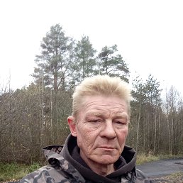 , 52, 