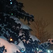 ������, 39 ���, �����