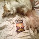  Lubomir_ss,  -  23  2024   ...)