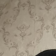 , 38 , 