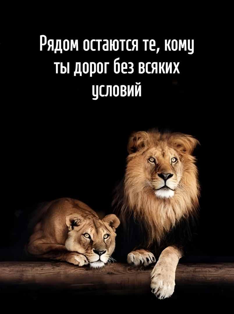  - 14  2025  21:53