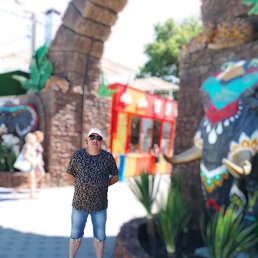 , 53, 