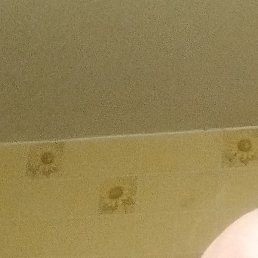 ���, �����, 42 ����