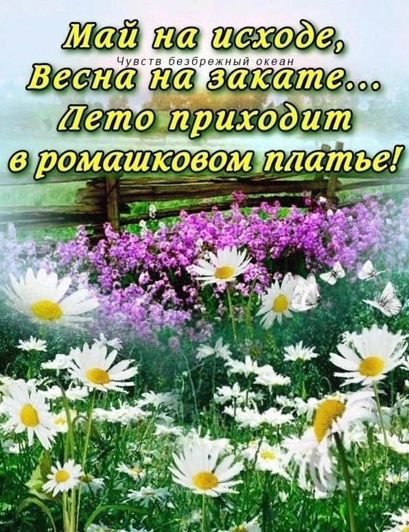   ,    . - 26  2025  12:30