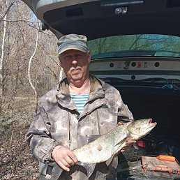 , 54, 