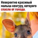 ���� �����, ������, 67 ��� - ��������� 5 ������� 2024 � ������ ������ ��������