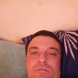 , 33 , 