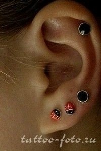    , !      25 ,   ... - 3