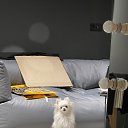   (      ,  -  16  2025    