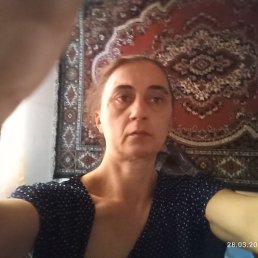 �����, 44 ����, ������