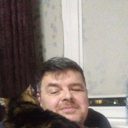 ���� ���������, ������, 53 ���� - ��������� 2 ������� 2025