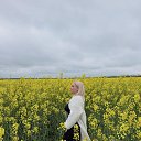 ���� �����, ������, 50 ��� - ��������� 19 ���� 2026 � ������ ���� ����������