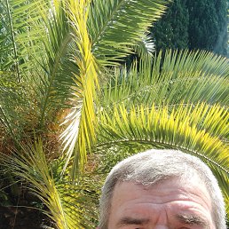 , 54, 