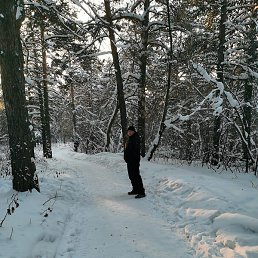 �������, ��������, 37 ���