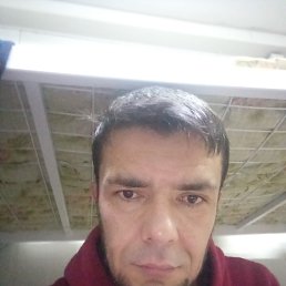 ���� �������, ������, 38 ��� - ��������� 20 ������ 2024