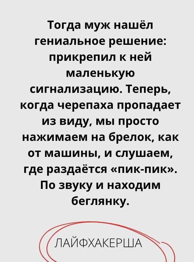 ���������� ���� - 25 �������� 2025 � 16:12 - 2