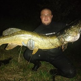 , 29, -