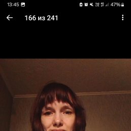 , 41 , 