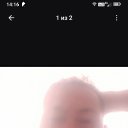 ���� ������, ���������, 46 ��� - ��������� 4 �������� 2026 � ������ ���� ����������