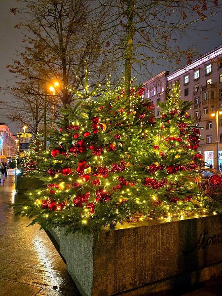 ���������� ��������� �� ������ ������. ����; �������� �����. - 4