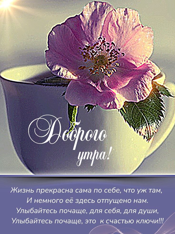   ,    . - 10  2025  00:32