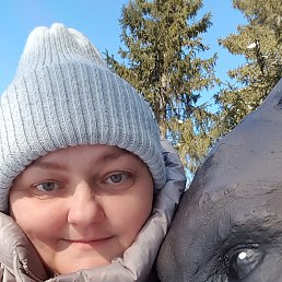 ���� ������, ������������, 52 ���� - ��������� 14 ����� 2026