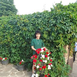 , 59, 